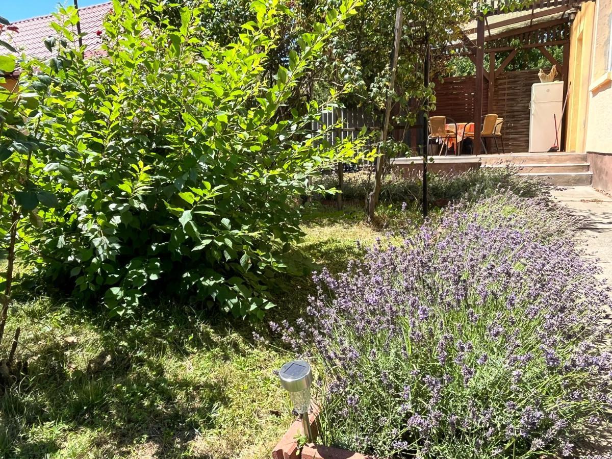 Rose Garden Διαμέρισμα Σίοφοκ Εξωτερικό φωτογραφία
